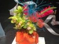 Natasha Lisitsa and David Schultz Design - June, 2017